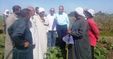 زراعة الشرقية تنفذ مدرسة حقلية إرشادية عن زراعة محصول البنجر.. صور