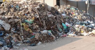 شكوى من انتشار القمامة فى الشارع الجديد ببهتيم.. المحافظ يستجيب