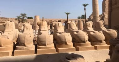 صور جديدة لأعمال ترميم 29 تمثالا من كباش الكرنك لحمايتها من الدمار والتآكل