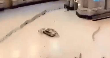سيارة مسرعة تقتحم ساحات الحرم المكى وتصطدم بإحدى البوابات.. فيديو وصور