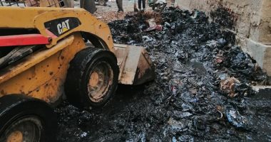 حملة نظافة مكبرة لرفع القمامة بشوارع المحلة فى الغربية.. صور