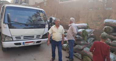 تحرير 225 محضر إشغال طريق وإزالات إدارية خلال حملات بالمنيا وأسيوط.. صور