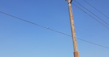 استجابة لسيبها علينا.. الكهرباء ترفع كفاءة أعمدة الإنارة بالحمادية فى المنوفية