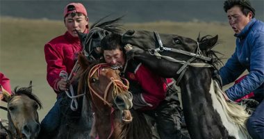 لقطات شقية ..الصور الفائزة فى مسابقة التصوير الدولية للمحترفين..ألبوم صور