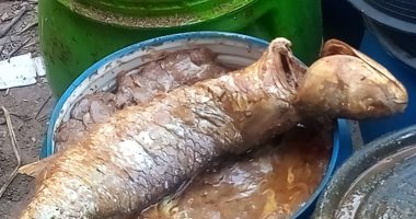 ضبط 1.3 طن سردين وفسيخ غير صالح للاستهلاك الآدمى بكفر الشيخ