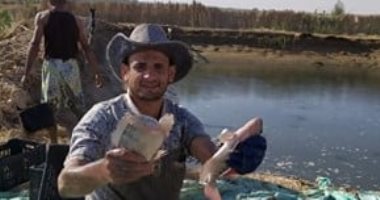 بشاير الخير فى الوادى الجديد.. نجاح تنفيذ مشروع شبابى لإنتاج الثروة السمكية بالداخلة.. التكلفة محدودة وباكورة الإنتاج 7 أطنان جرى طرحها فى منافذ الوحدة المحلية بأسعار مخفضة للمواطنين.. صور