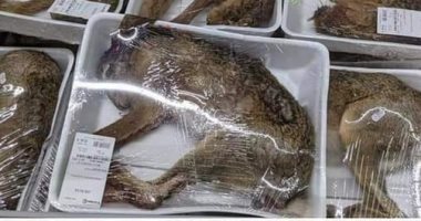 صور صادمة لحيوانات ميتة تباع داخل محلات السوبر ماركت فى فرنسا