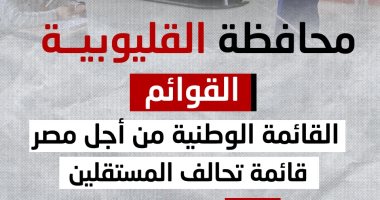223 مرشحا يتنافسون على 30 مقعد بانتخابات النواب بمحافظة القليوبية.. إنفوجراف