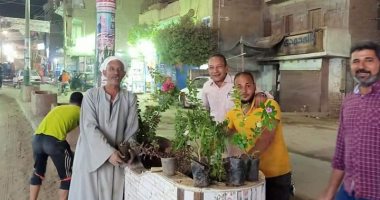 مبادرة شبابية لتجميل وتشجير مركز ملوى بمحافظة المنيا.. صور