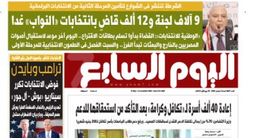 9 آلاف لجنة و12 ألف قاضٍ بانتخابات «النواب».. غدا بـ"اليوم السابع"