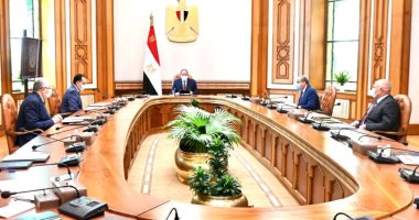 السيسى يوجه بالتوسع فى المشروعات الزراعية والمناطق اللوجستية بالوادى الجديد