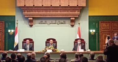 محافظ الإسكندرية: تجديد الحبس الإحتياطى عن بُعد حلم أصبح واقع