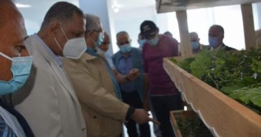 وزيرا الزراعة والرى يتفقدان مشروع الحرير على مساحة 50 فدان بالوادى الجديد.. صور