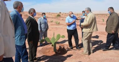 وزيرا الزراعة والرى يتفقدان أول مشروع لإنتاج التين الشوكى بالوادى الجديد