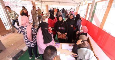 5 مرشحين عن الأحزاب و11 مستقلا بجولة الإعادة بانتخابات مجلس النواب بالمنوفية