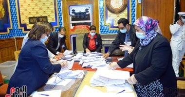 انتهاء اليوم الأخير للتصويت بالمرحلة الثانية لانتخابات النواب وبدء فرز الأصوات