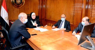وزيرة التجارة: حجم التبادل التجارى بين مصر ودول الكوميسا بلغ 3.9 مليار دولار العام 2019