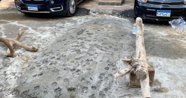 القاهرة توجه بإزالة وضع حواجز ومطبات عشوائية بشارع رئيسى في مدينة نصر 