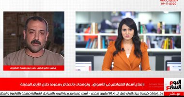 شعبة الخضروات لتليفزيون اليوم السابع: ارتفاع سعر الطماطم مؤقت ويتراجع خلال أيام
