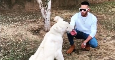 محمد رمضان يطعم أسدا وجها لوجه على أنغام "مافيا".. فيديو