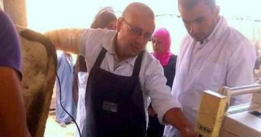 بيطرى الشرقية يُجرى المسح التناسلى لـ 4 آلاف 126 رأس ماشيه