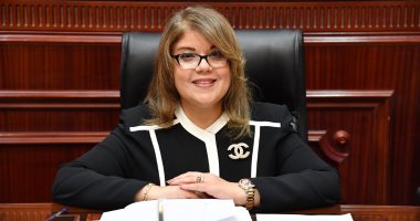 وكيل مجلس الشيوخ: اكتمال المنظومة التشريعية يدعم جهود تحقيق التنمية الشاملة