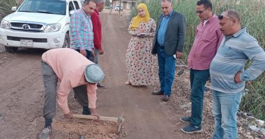 صور.. رصف ورفع كفاءة الطرق بشوارع كفر الشيخ وحملات للمرافق الحيوية