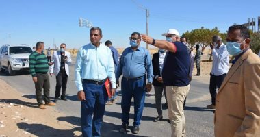 محافظ الوادى الجديد يوجه بزراعة 1600 شجرة ماهوجنى.. صور
