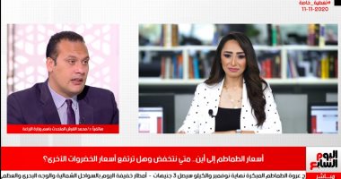 الزراعة تكشف لـ"تليفزيون اليوم السابع" موعد انخفاض أسعار الطماطم.. فيديو 