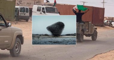 صور.. العالم هذا الصباح.. توقعات بتحول العاصفة أيوتا إلى إعصار .. المغرب يؤكد تأمين معبر الكركرات.. طيور "الزرزور" تصنع شمسا سوداء فى الدنمارك.. وجوجل Google Photos تطلق خدمة تخزين مجانة غير محدود ة المساحة
