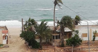 هطول أمطار متوسطة على مناطق بشمال سيناء.. صور