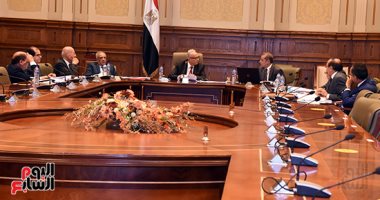 بدء آخر اجتماعات لجنة صياغة لائحة مجلس الشيوخ لمناقشتها الثلاثاء.. صور