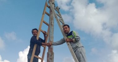 تركيب 30 عمود كهرباء وحملة تنظيف للشوارع بمنطقة منشية ناصر.. صور