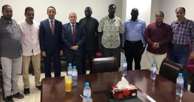 السفارة المصرية بجنوب السودان تستقبل وفدًا من وزارة الكهرباء والطاقة المتجددة