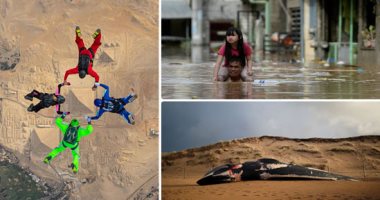 العالم هذا المساء.. أشهر من نجوم السينما وأغلى من أبطال الكرة..حمامة بـ1،6مليون يورو..10صور إنسانية مؤثرة من إعصار دمر الفلبين.. أول مهرجان عالمى للقفز  فوق الأهرامات.. حيتان الزعنفة تنتحر فى فرنسا والسبب مجهول