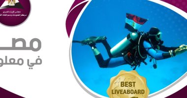 مصر فى المركز الثانى ضمن أفضل أماكن الغطس بالعالم في 2020.. إنفوجراف