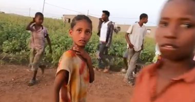 صحيفة ألمانية تحذر من كارثة إنسانية فى تيجراي.. وتؤكد: آبي أحمد يمنع المساعدات