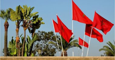 المغرب يسجل 2647 إصابة جديدة و50 حالة وفاة بفيروس كورونا