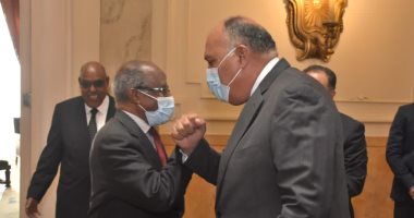 شكرى يبحث تطورات القرن الأفريقى مع وزير خارجية إريتريا والمستشار السياسي للرئيس