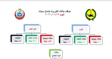صحة شمال سيناء تسجل صفر إصابات بفيروس كورونا