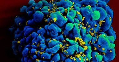 CDC تؤكد تراجع الإقبال على لقاح الورم الحليمى بسبب منشورات الفيس بوك