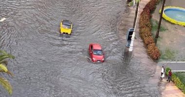 الأمطار تغرق الإسكندرية.. ومغردون: بندور على مراكب عشان ننزل.. فيديو وصور