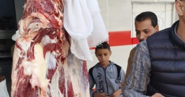 ضبط لحوم مذبوحة خارج المجازر وأخرى غير صالحة للإستهلاك ببنى سويف