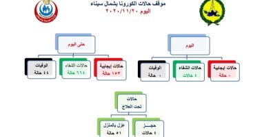 شمال سيناء تسجل صفر إصابات جديدة بفيروس كورونا