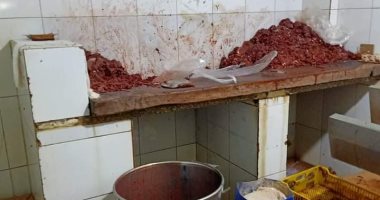ضبط 9 أطنان دقيق منتهى الصلاحية بحملة تموينية وتحرير 69 محضرا في الإسماعيلية