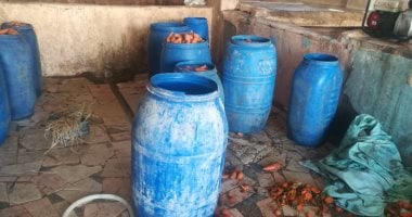 محافظ الدقهلية : ضبط 32.5 طن مخللات فاسده وغلق المعمل