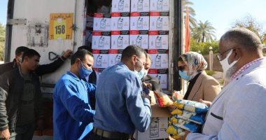 وصول قافلة صندوق تحيا مصر لتوزيعها على الأسر الأولى بالرعاية بالوادى الجديد