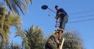 "شباب الخير" مبادرة لتنظيف وإنارة قرية أبو تشت بالجهود الذاتية بقنا.. صور