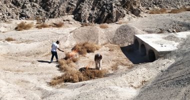 مجلس مدينة سفاجا يشكل لجنة للتأكد من صلاحية البرابخ والسدود ..صور