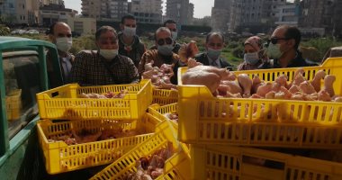 ضبط دواجن وإعدام 400 كجم لحوم غير صالحة بكفر الشيخ.. صور